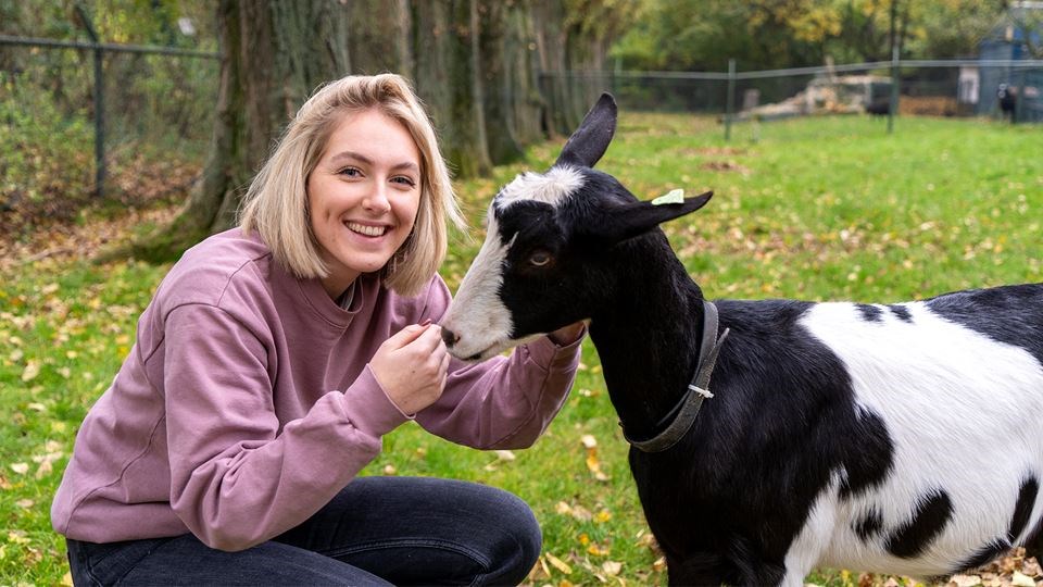 Sparen voor een boerderij - Een kijkje in het Spaarbrein van Sanne